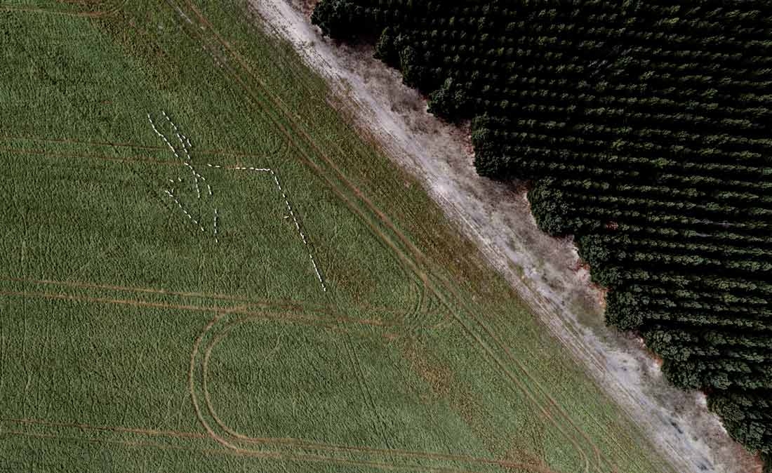 Soil_inline_extra.jpg